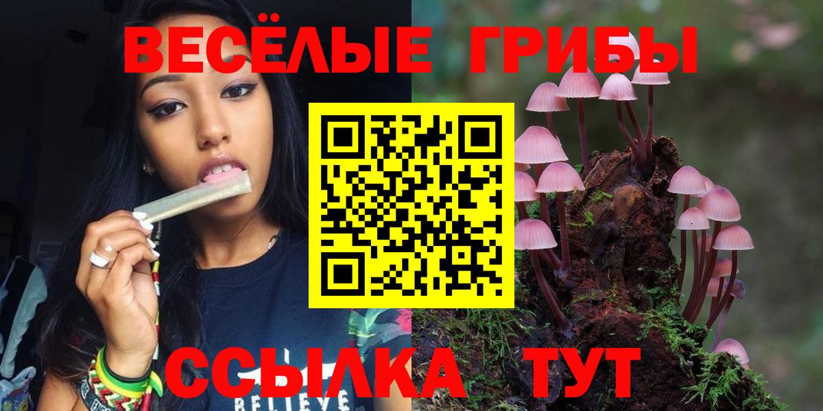 Галлюциногенные грибы мицелий  Псилоцибиновые грибы Cubensis  Вход с VPN  Элиста 